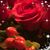 Beth Gemeny's profile image
