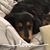 Debra L. Lundin Breseman's profile image