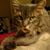 Kimberly Nicholson's profile image