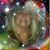 Pam Ray Guting's profile image