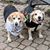 Diane Kuehn Pry's profile image