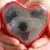 Tina Revithis Grell's profile image