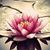 Gwendolyn Dawn Roediger's profile image