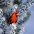 Doris Schmid's profile image