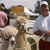 Gene McCleary's profile image