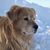 Christine Drabicki's profile image