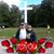 Anita Pendergrass's profile image