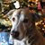 Diana Marie's profile image