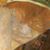 Danae McCorkle's profile image