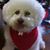 Nancy Smith Bean's profile image