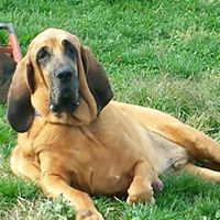 Susan Farnsworth's profile image