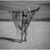 Bailey Hendren's profile image