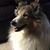 John N Cheryl Pickering's profile image