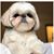 Leonie Sanger's profile image