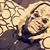 Jose Cervantes's profile image