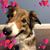 Chera Young's profile image
