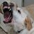 Duken Stumpy's profile image