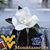Kathy Craig Knight's profile image