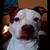 Michael Beals's profile image