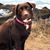 Erik Craig Hadley's profile image