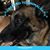 Stephanie S Harris's profile image