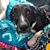 Tessa Prewitt's profile image