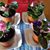 Bridget Gerlinger's profile image