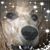 Regina Washburn's profile image