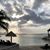 Terri F. Lorenzo's profile image