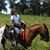 Robin Briscuso's profile image