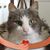 Bill Keller's profile image