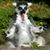 Candy Brockman's profile image