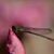 Candace Garcia's profile image