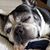 Betty Romig's profile image
