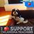 Nancy Wilkinson's profile image