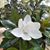 Kerry Osmond's profile image