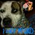 Juan Carlos Donato's profile image