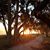 Leane Mangold's profile image