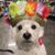 Kim Yost's profile image