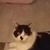 Debbie Boyette Doherty's profile image