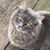 Kim Myer's profile image