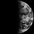 Scott-Laura Lewis's profile image