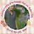 Diann Bender Sherrill's profile image