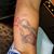 Cheryl N. Kelly Collier-Moye's profile image