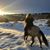 Kayla Gothard's profile image