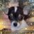 Carolyn Kirkus's profile image