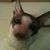 Kristin Shimeck's profile image