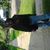 Iris Smiley's profile image