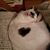Martha Robinson's profile image