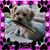Catrina Smith's profile image